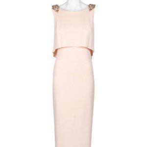 Gorgeous Adrianna Papell blush floor-length dress